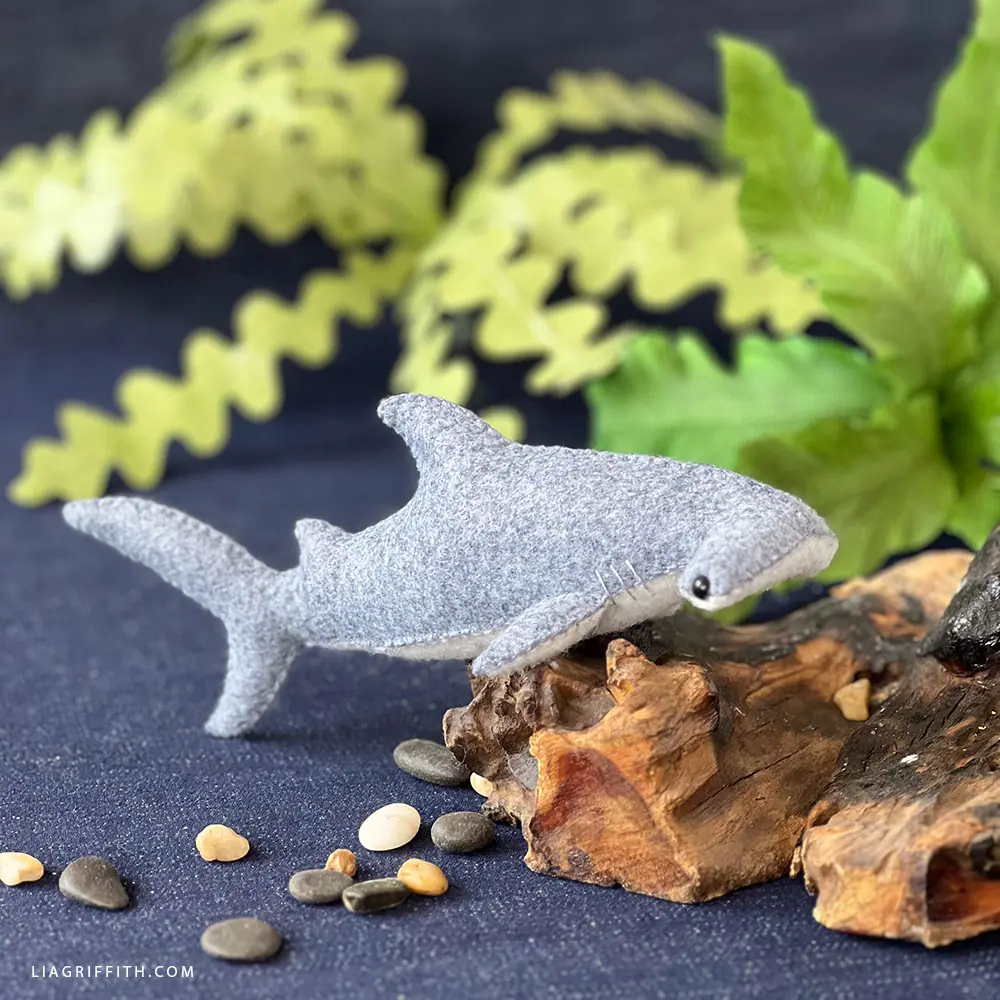 ながいひゆ(Hammer Head Shark)demo CD1◾️サイン入り Hammer Head Shark - 