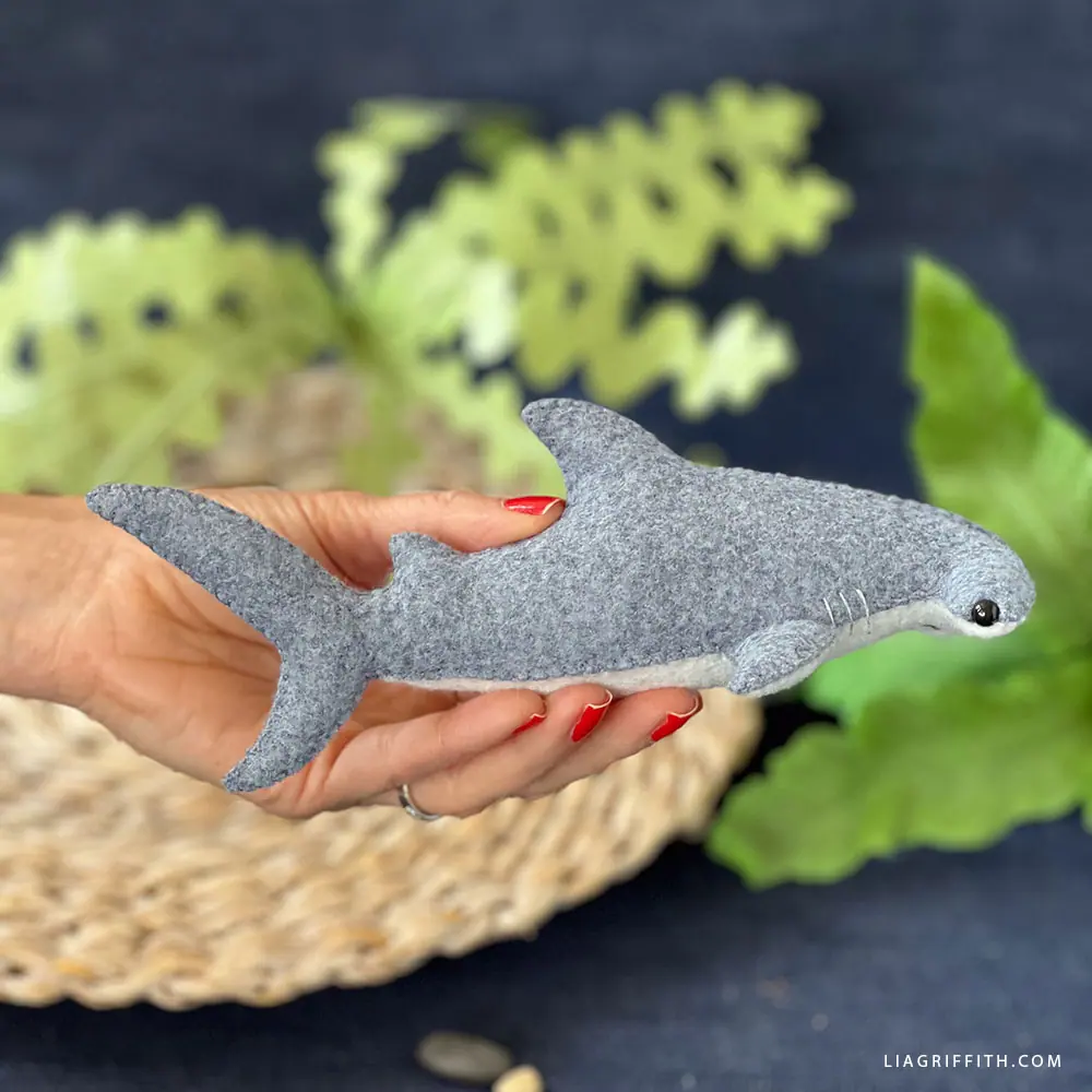 ながいひゆ(Hammer Head Shark)demo CD1◾️サイン入り Amazon.com: GRAPHICS & MORE Nailed It Hammerhead Shark Funny Humor