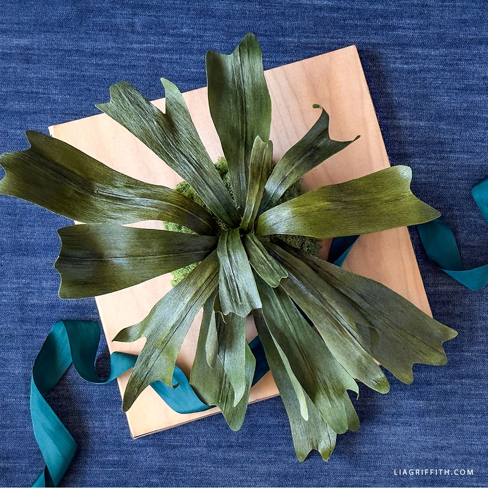 Create Your Personal Mounted Crepe Paper Staghorn Fern Create Your Personal Mounted Crepe Paper Staghorn Fern