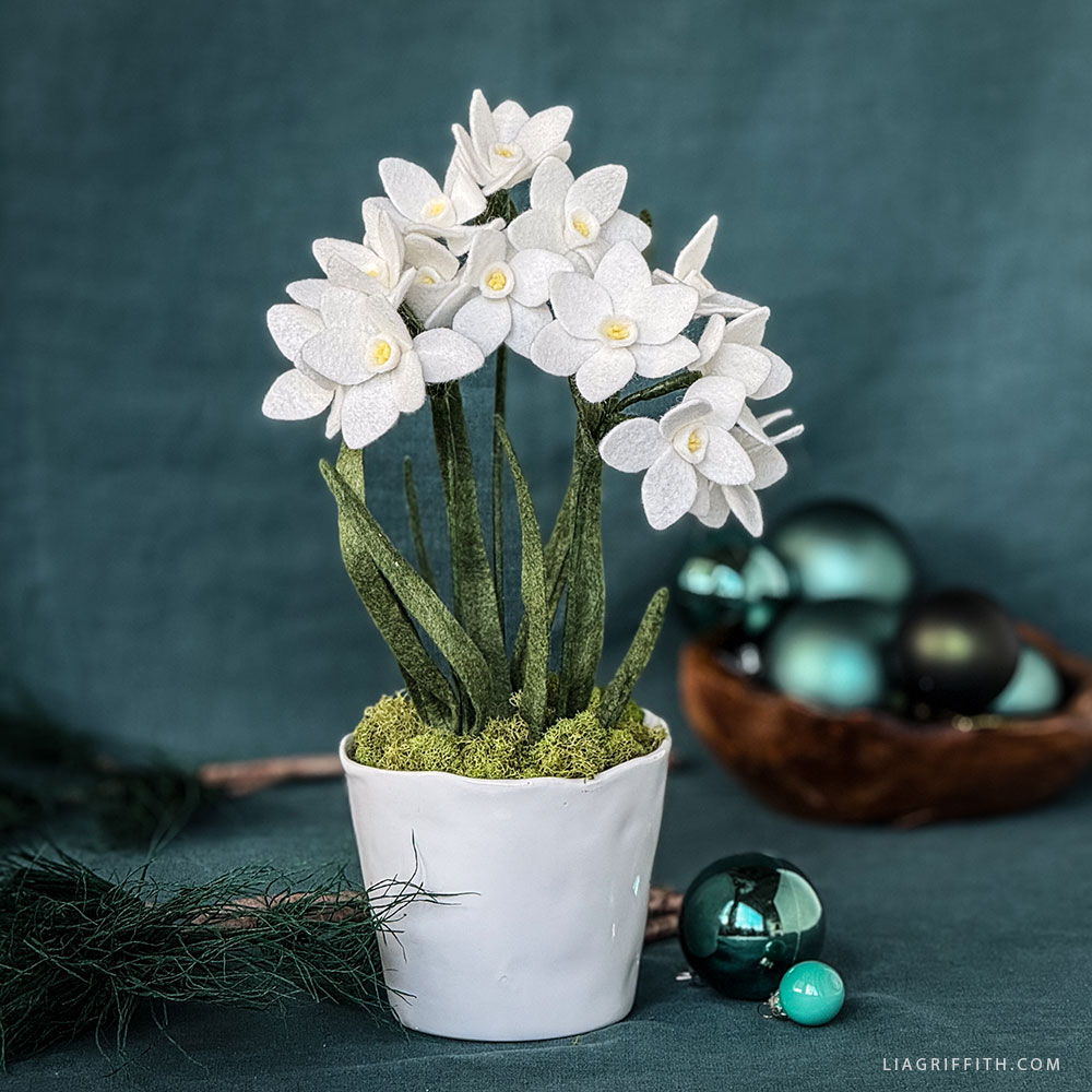 Felt Paperwhite Narcissus