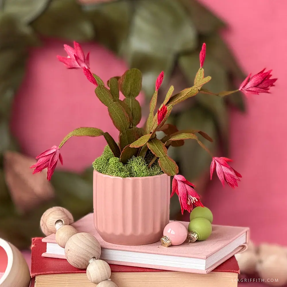 Crepe Paper Christmas Cactus Member Make Workshop - Lia Griffith