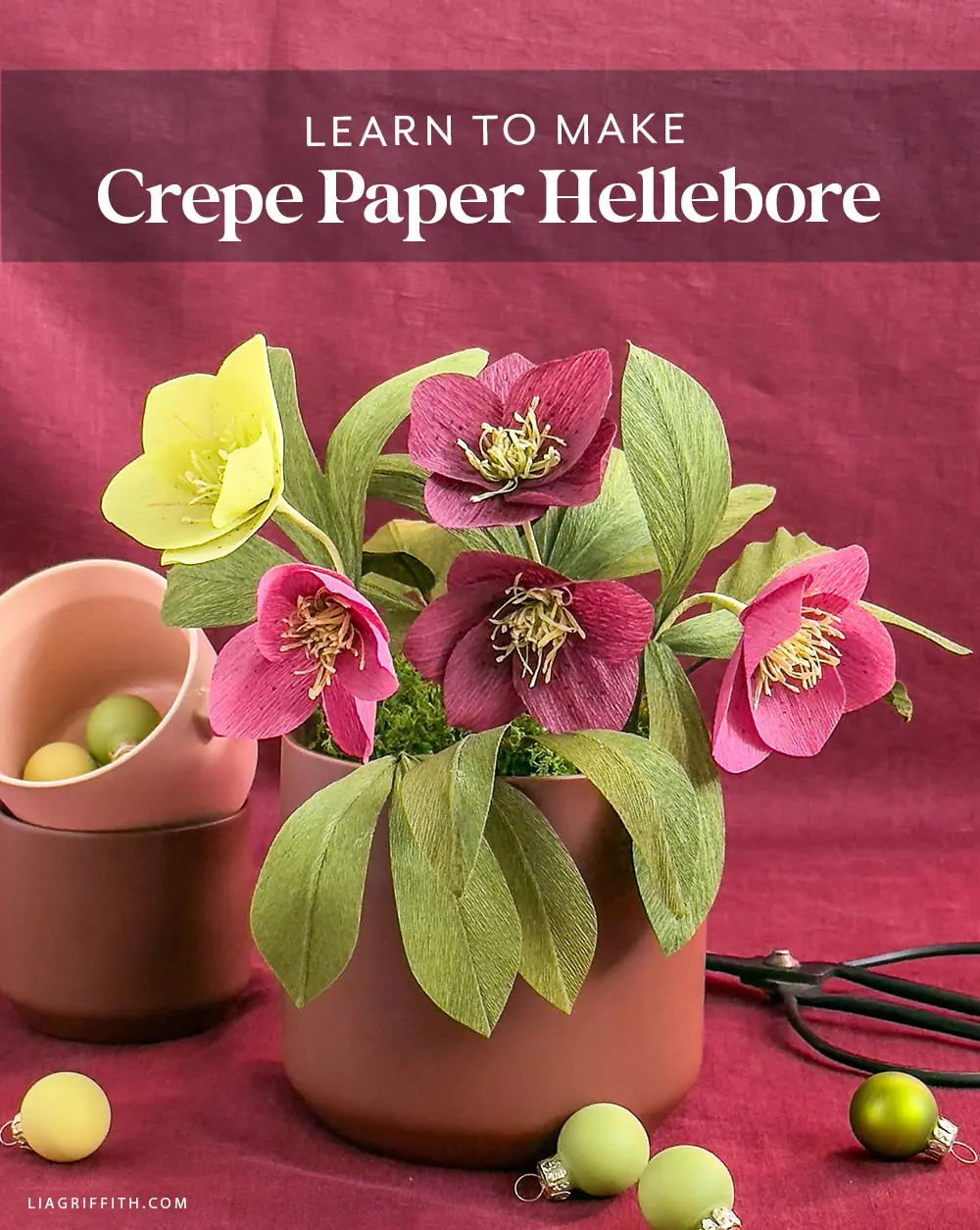 Crepe_XF_Hellebore_1.jpg.webp