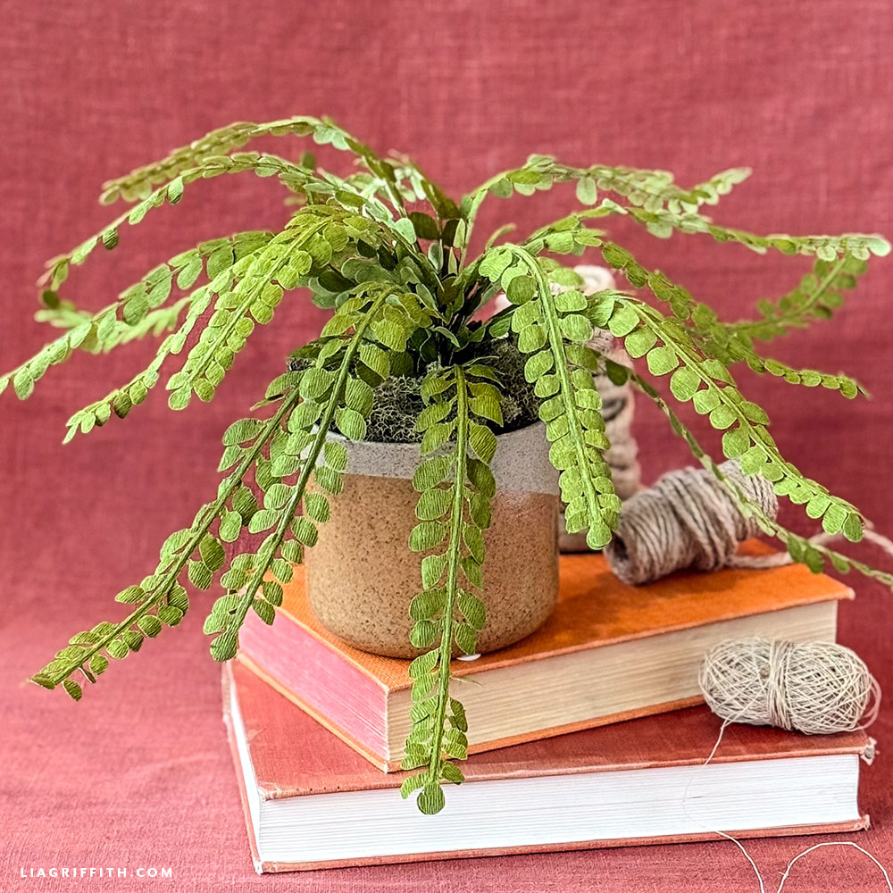 Crepe Paper Button Fern Video Tutorial