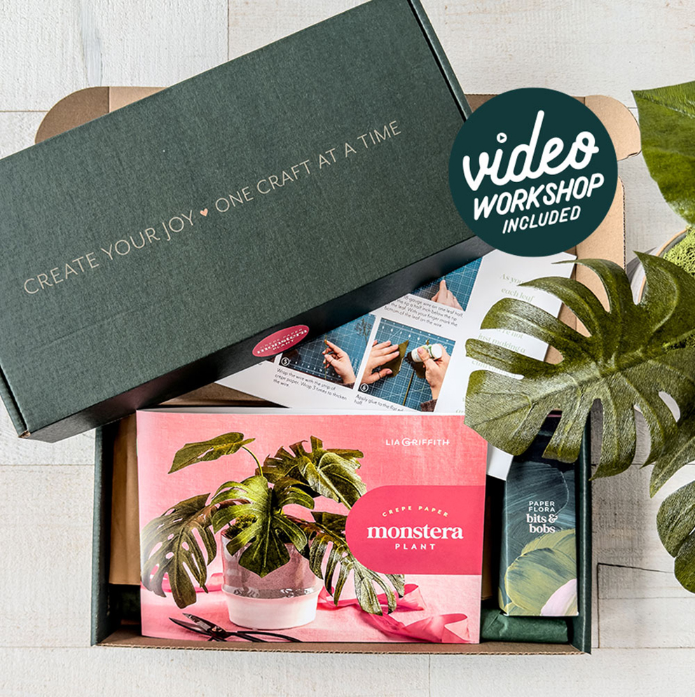 Monstera Plant kit