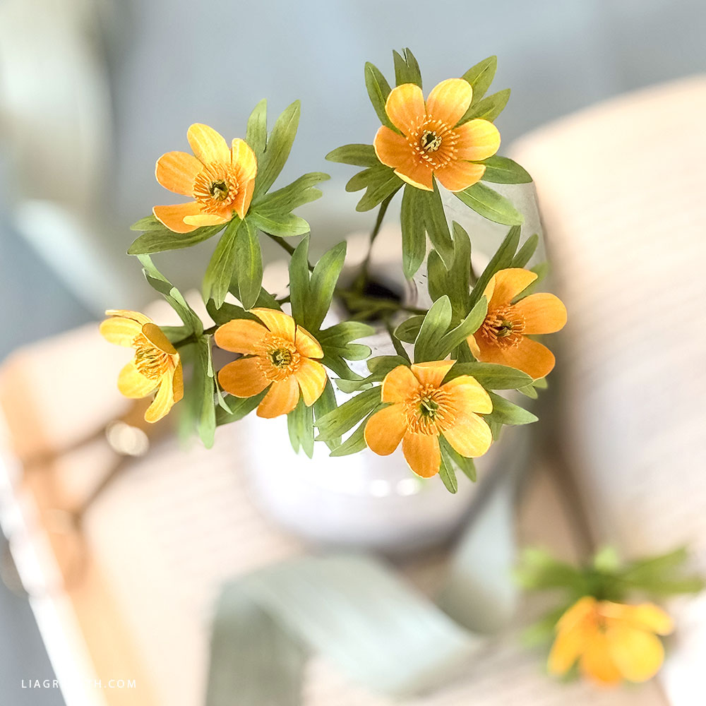 Cardstock Winter Aconite