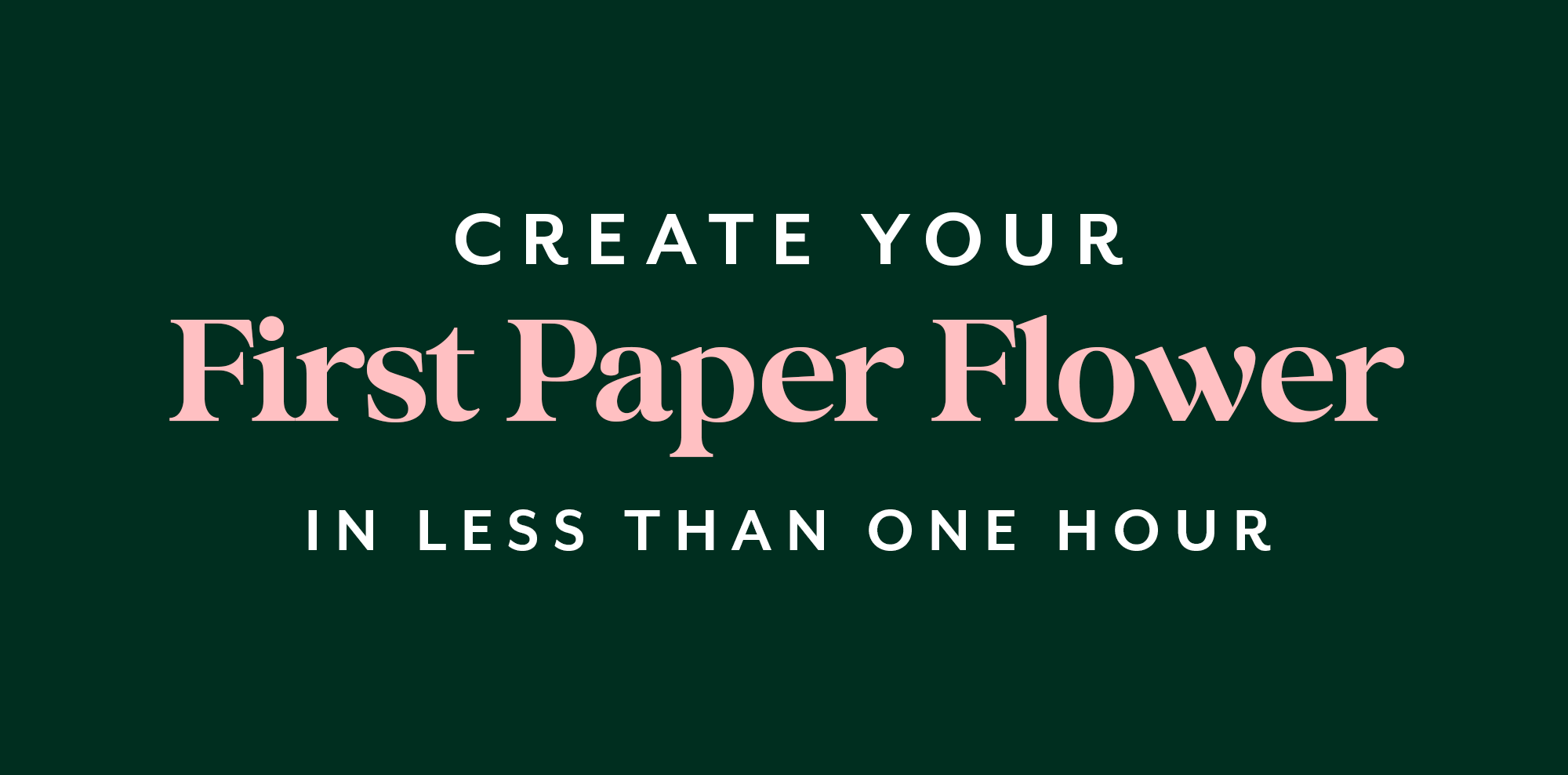 Create your first paper flower in less than one hour.