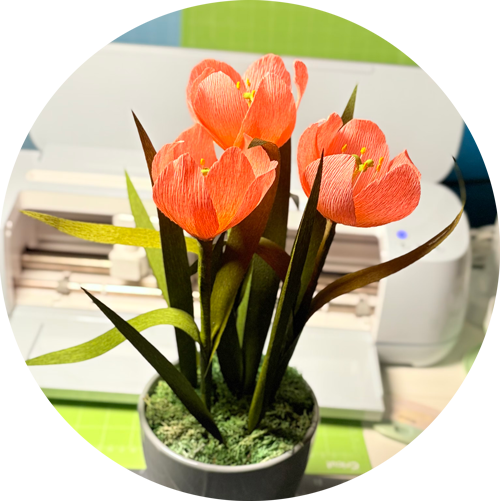 Portrait of Created by Pablo Fregoso