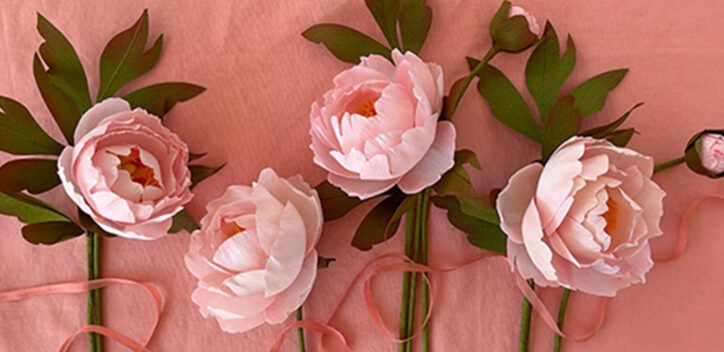 Paper peony lineup