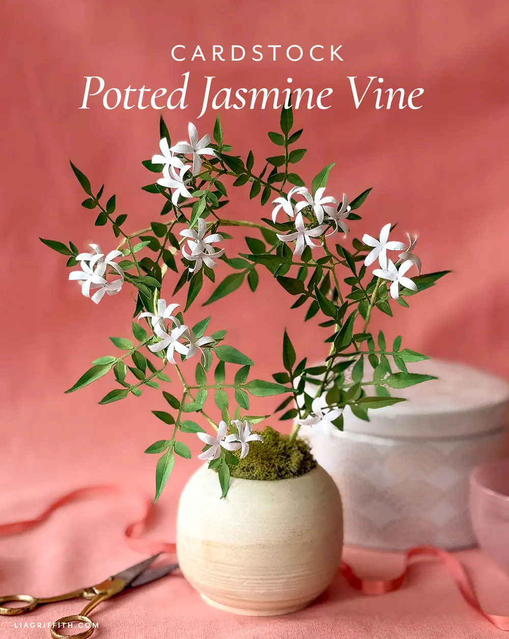Jasmine出品 Potted Cardstock Jasmine - Lia Griffith