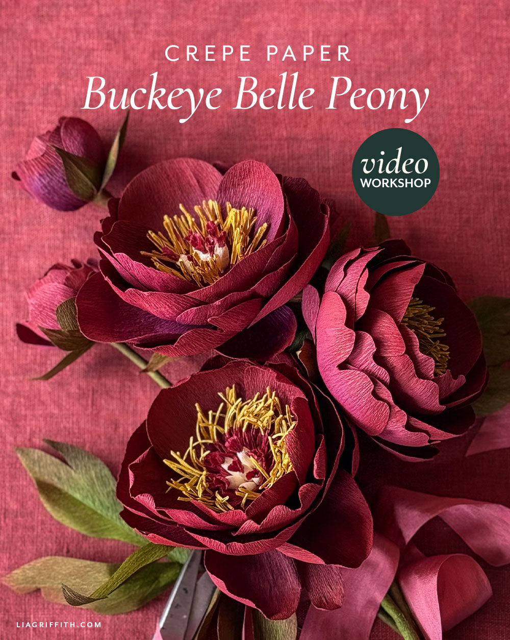 Crepe paper Buckeye Belle peony with burgundy petals and gold center