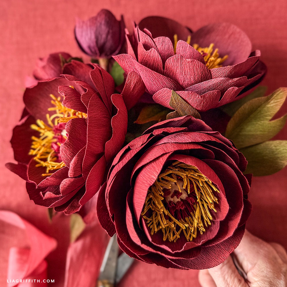 Crepe paper Buckeye Belle peony with burgundy petals and gold center