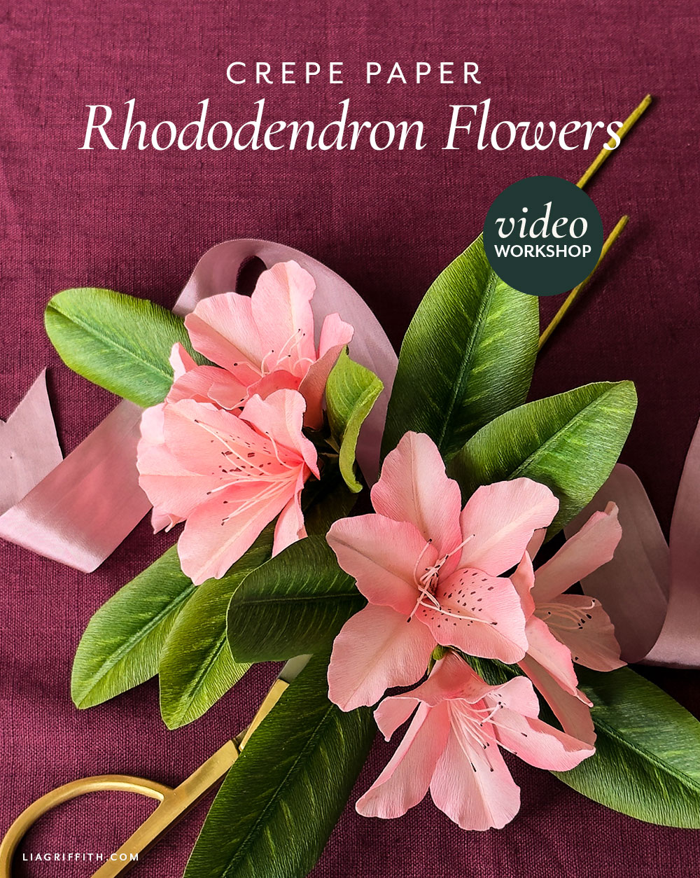 Crepe paper rhododendron with clusters of pink blooms and green leaves