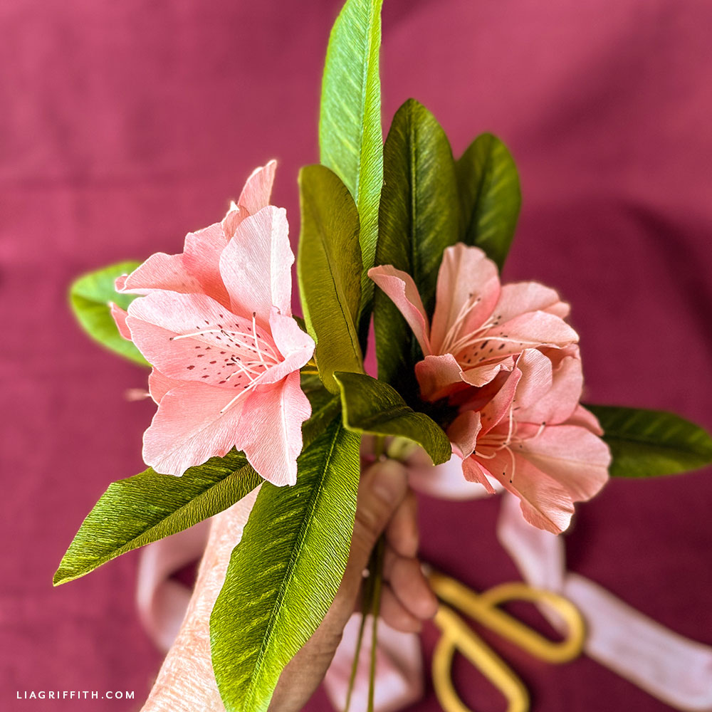 Crepe paper rhododendron with clusters of pink blooms and green leaves