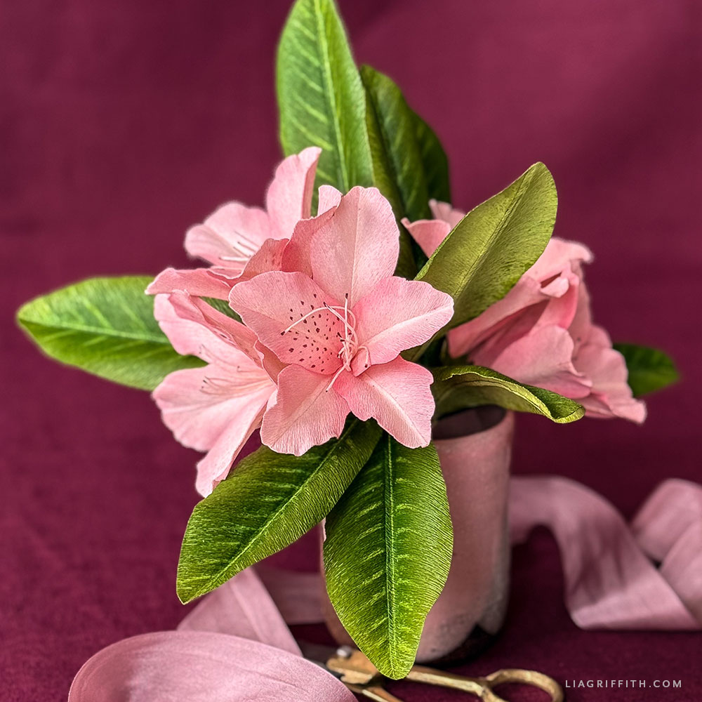 Crepe paper rhododendron with clusters of pink blooms and green leaves