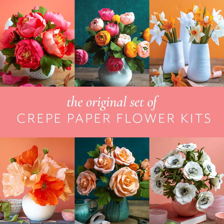Original crepe paper flower kits
