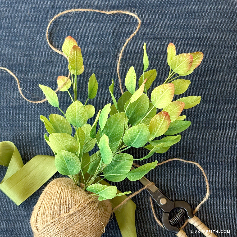 DIY Crepe Winecraft Gold Smokebush

