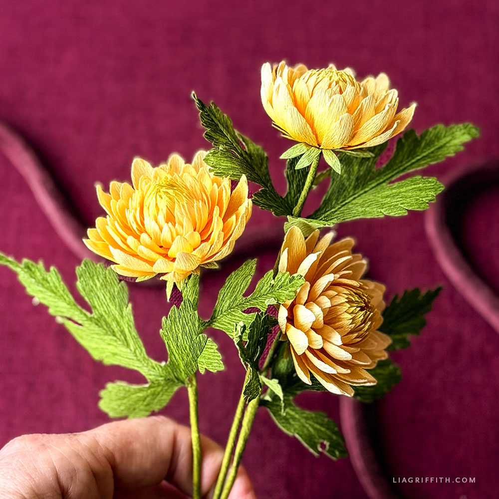 Small golden yellow crepe paper chrysanthemum blooms with green leaves